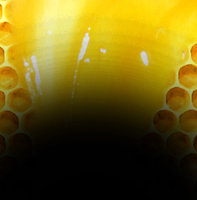 Schwarzmet in einer 1 Liter Euroflasche